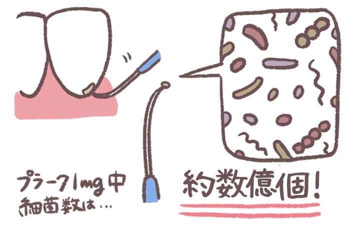 口腔ケアが感染症予防につながります